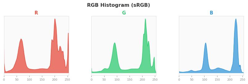 sRGB色图