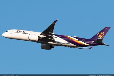 泰美丽航空