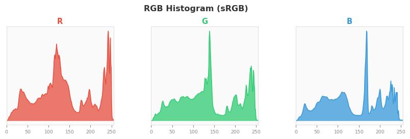 sRGB色图