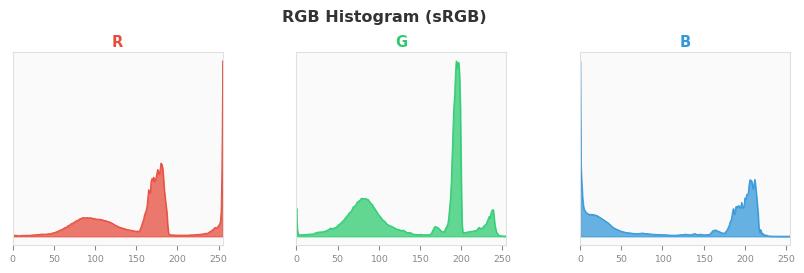 sRGB色图