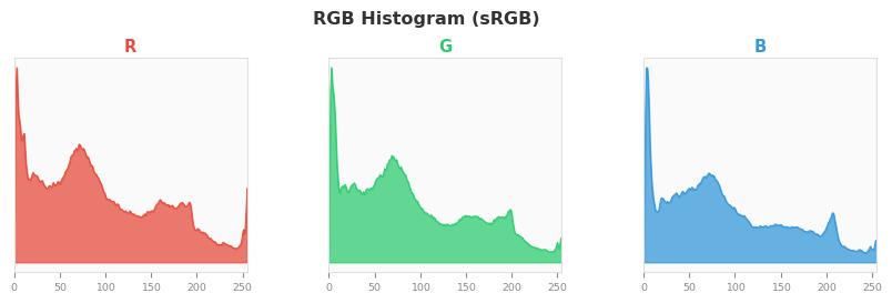 sRGB色图