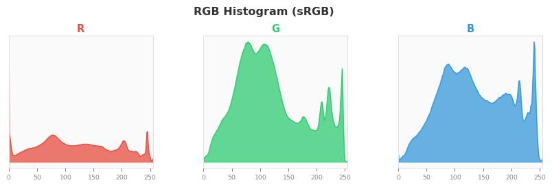 sRGB色图