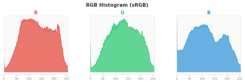 sRGB色图