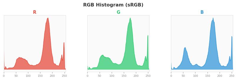 sRGB色图