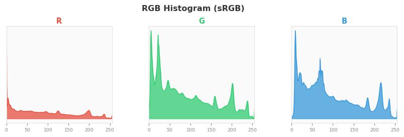 sRGB色图